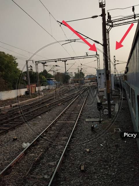 FourthLevi's tweet photo. @ParveenKaswan Also this https://t.co/SktgeHGIJC