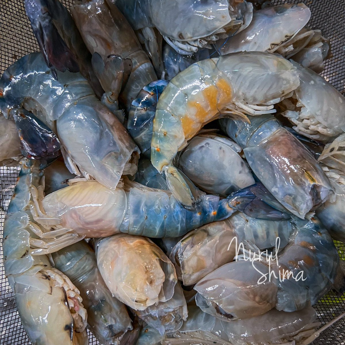 NurulShima_3's tweet photo. Udang Galah Masak Cili - saya belajar daripada tukang masak restoran.

1. Tumis 2 sudu besar bawang kisar dan setangkai daun kari sampai naik bau wangi. 

2. Masukkan 4 sudu besar cili kering kisar dan 1 sudu besar gula putih. Biarkan cili tu masak betul. Api sederhana tau. 

3. Masukkan 1 sudu besar sos cili dan 1/2 sudu besar sos tiram. Gaul rata.

4. Lepas tu bolehlah masukkan 3 sudu kecil garam halus. 

5. Pecahkan sebiji telur dalam mangkuk lain dan campak jer dalam kuah tadi. Gaul la bagi ia hancur dalam kuah. 

6. Bila kuah dah nampak agak pekat, masukkan udang galah tadi dan gaul rata. Biarkan ia reneh. Nanti udang tu akan keluarkan air sendiri, jadi tak perlu tambah air lagi.

7. Siap selepas korang masak dalam 15minit 🫶