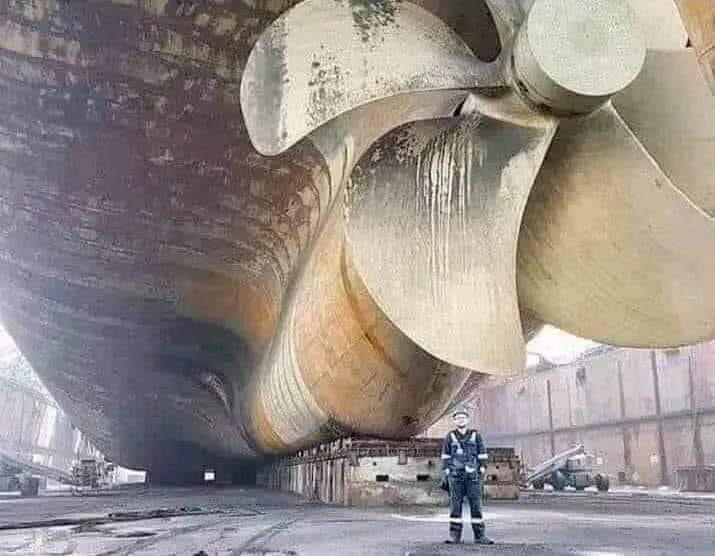 A giant ship's engine broke down and no one could repair it, so they hired a Mechanical Engineer with over 30 years of experience.

He inspected the engine very carefully, from top to bottom. After seeing everything, the engineer unloaded his bag and pulled out a small hammer.