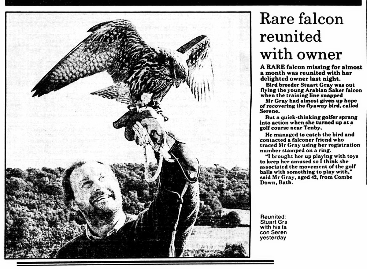 Western Daily Press - Tuesday 15 September 1992.