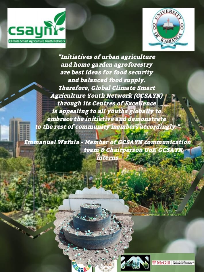 UOKGCSA's tweet photo. School engagement, community development, maximizing food production in public places, and attending to regulations and bylaws are focus areas for improving urban agriculture #GCSAYN #ClimateAction #universityofkabianga #FAO https://t.co/thJHN8jJwm