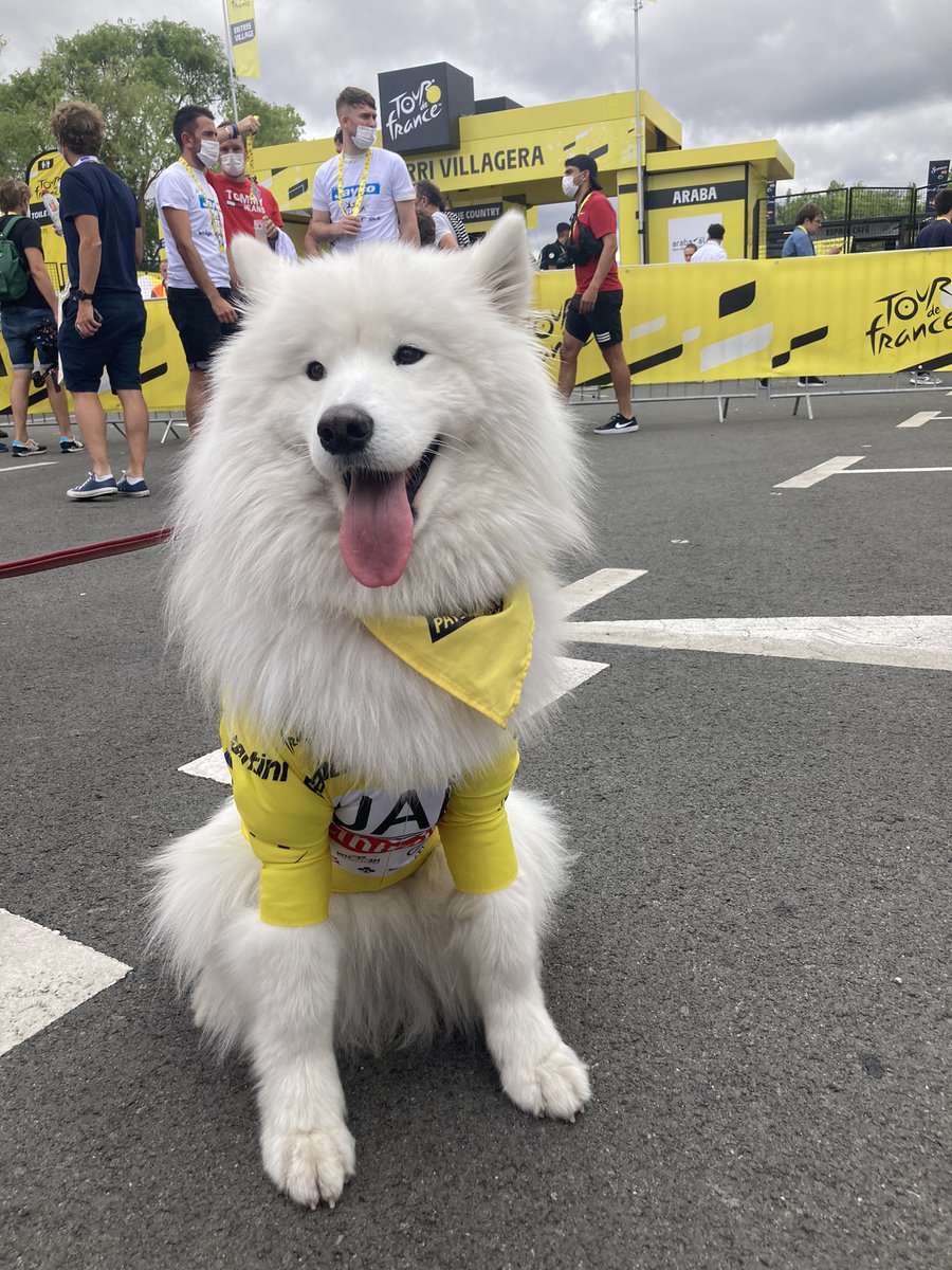 Sophie Smith tweet media