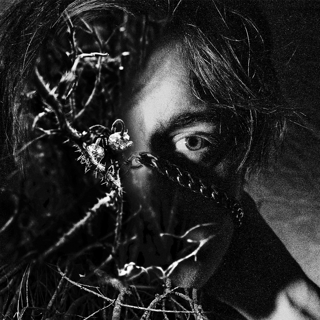 Noi_Resor's tweet photo. Hide away.

https://t.co/wmV2HVNYL8

#photography #photooftheday #collage #noiresor #MUSICDAY https://t.co/L0dgwCc6dE