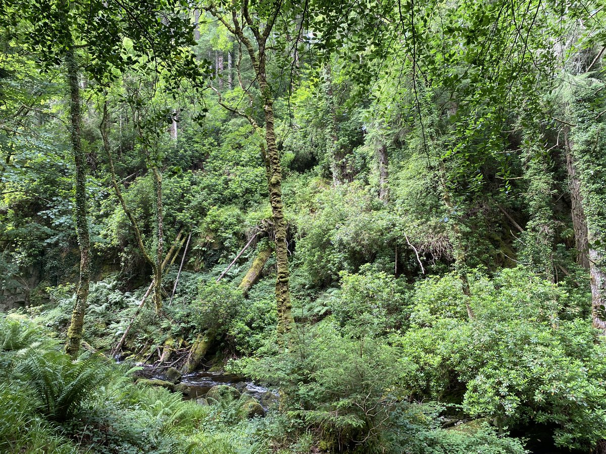 Jonathan Fearon tweet media