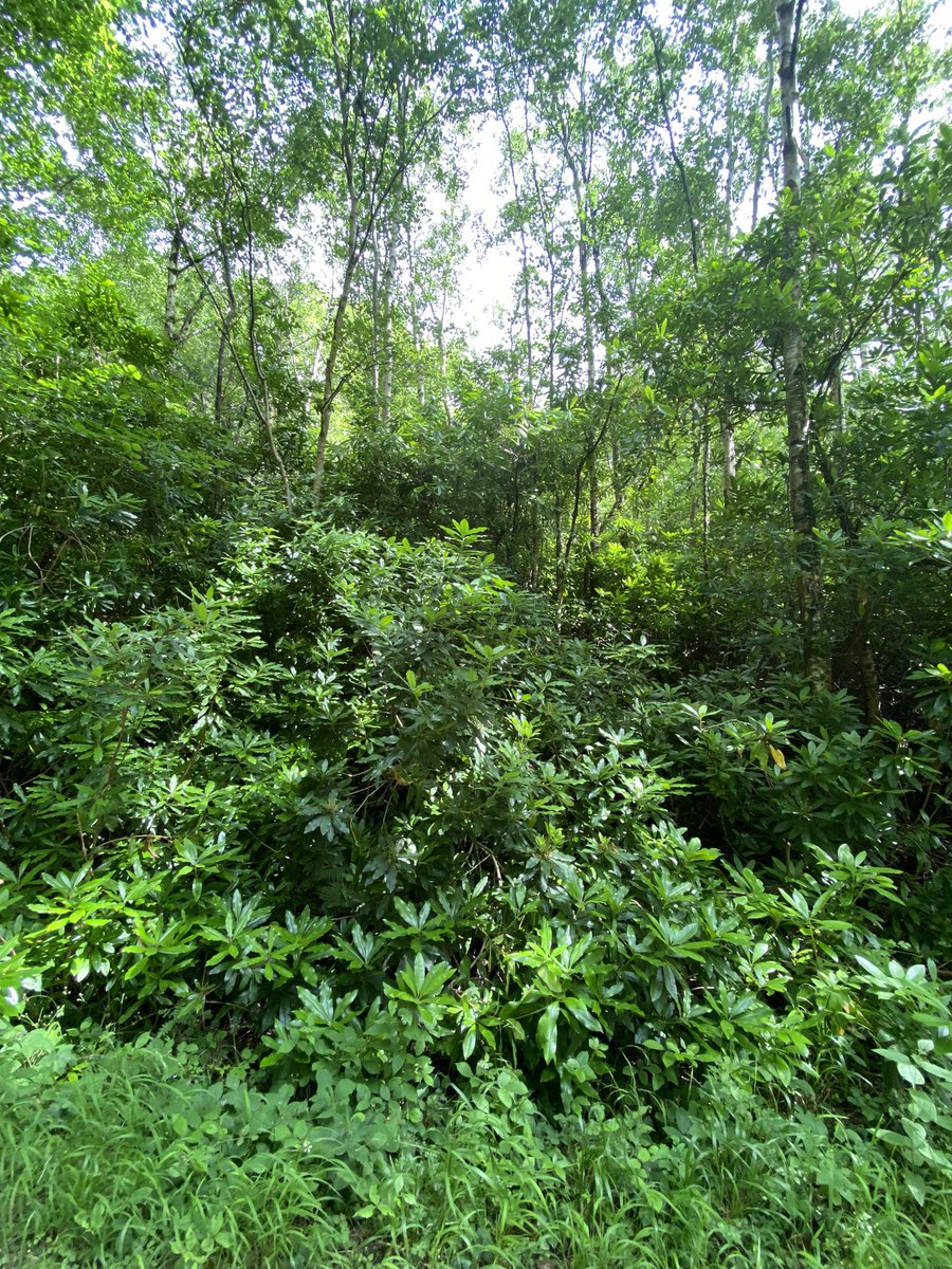 Jonathan Fearon tweet media