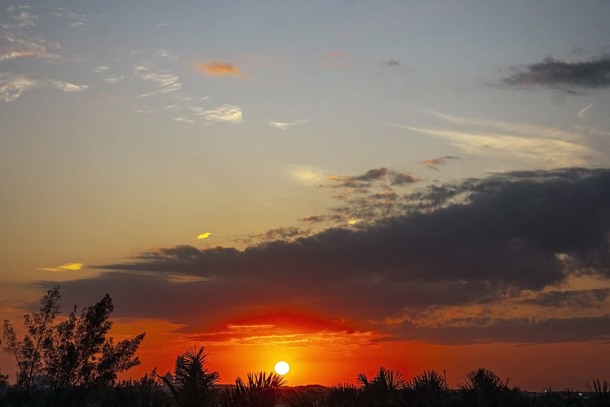 JackLinFLL's tweet image. 🎶You say #GoodbyeTwitter and I say #HelloTwitter🎶