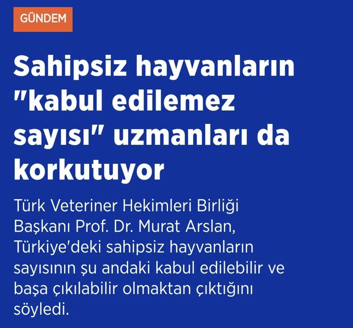 PawGuardsGlobal's tweet photo. SKANDAL! Türk Veteriner Hekimleri Birliği Başkanı Murat Arslan “köpeklerin itlafının önünü açmaya yönelik” açıklamalarıyla yine bir skandala imza attı. Aynı şahıs 4 ay önce Maraş Barınağında depremzede hayvanları uyuttuğu gerekçesiyle de gündeme gelmişti! #MuratArslanistifa https://t.co/8KhNh8rFJO