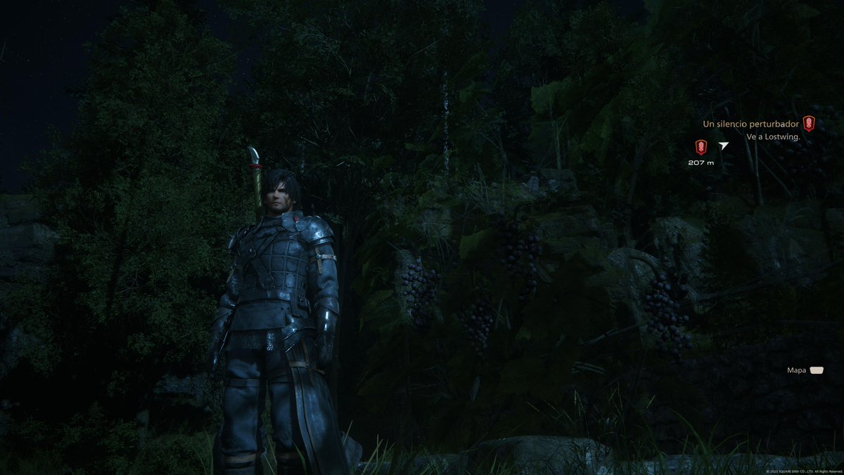 siliconminds's tweet photo. #PS5Share, #FINALFANTASYXVI https://t.co/ptH0rh4Gl4