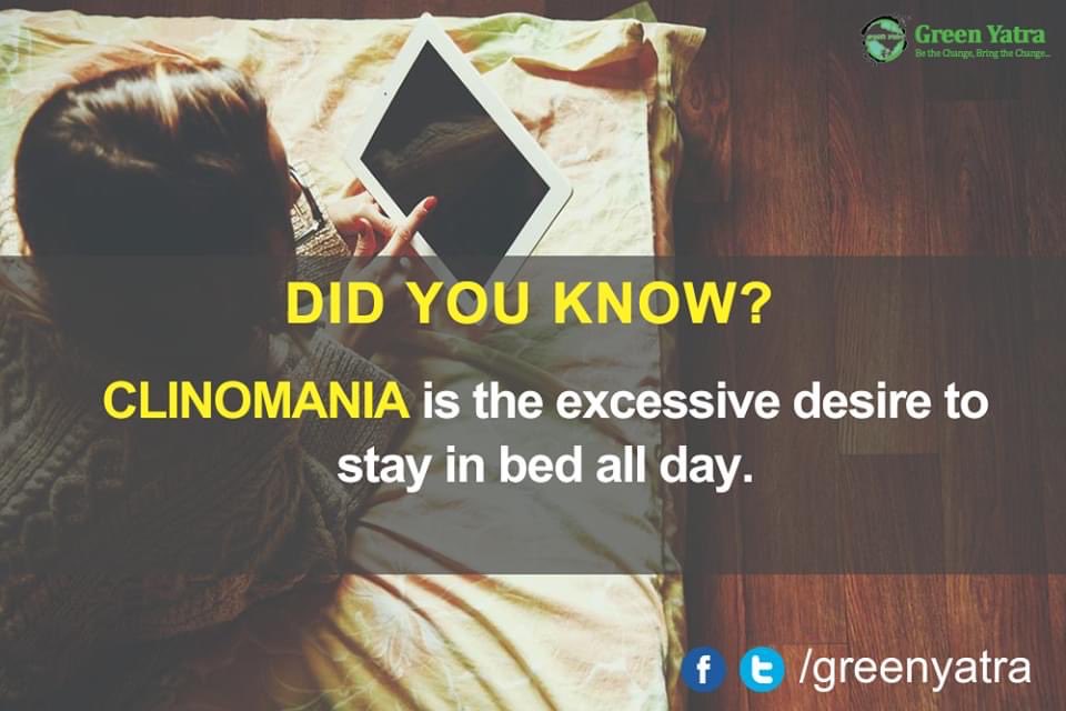 DURITZ79's tweet photo. Especially on a Sunday. Nomania is my #wordoftoday https://t.co/3TqGhAUFjE