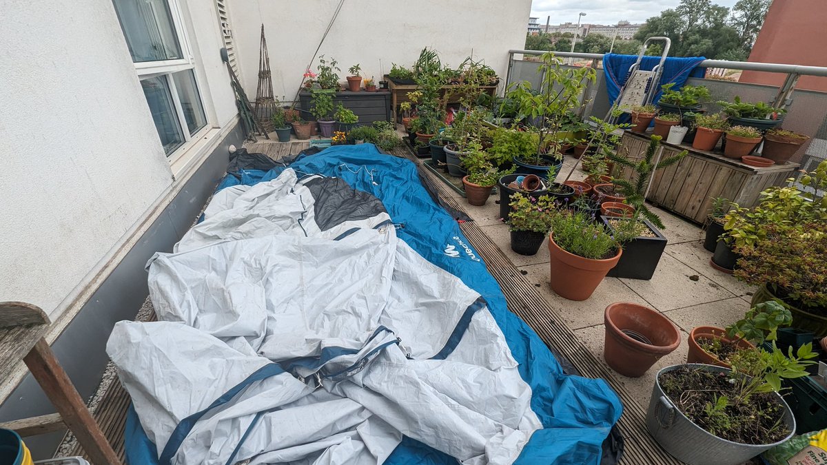 4242Bruce's tweet photo. So, first chance to get the tent out after #glastonbury2023 it was raining when we packed up. Not having a cheese tent situation at @EOTR this year. @deanoshoes you still got the Fabreze just in case? #CheeseTent.l https://t.co/MucEDKwUR4