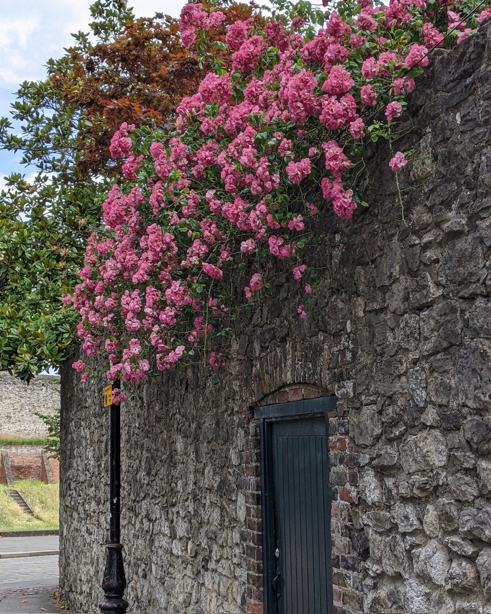 Rochester #LoveWhereYouLive