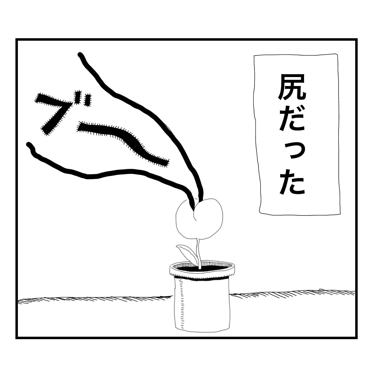 秘密の花 