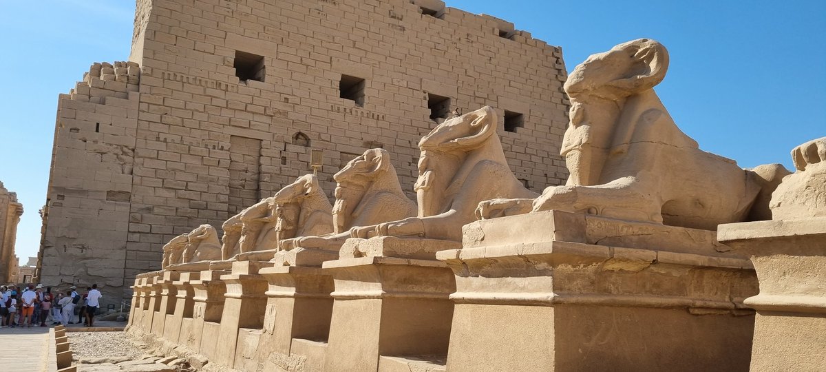 Ils sont sage en Égypte,  tous aligner sans bouger, <a href="/vacances/">VACANCES</a> <a href="/karnak/">Karnak Media</a> @Égypte