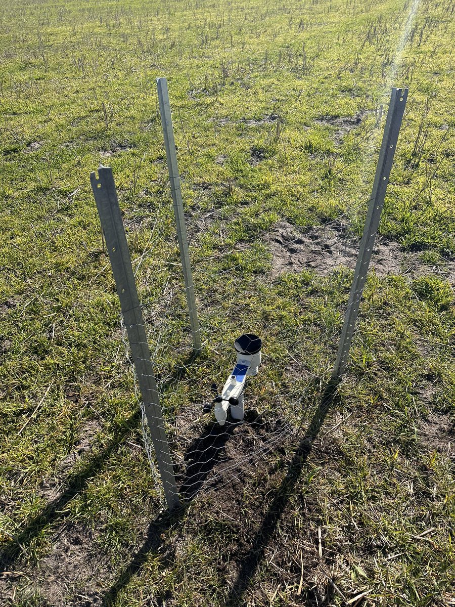 Last week, we set up weather stations in lambing paddocks across our WA sites to measure temp, wind speed/direction and rain at lamb height! @shade_shelterAU #edibleshelter #twinlambsurvival #lambing #shrubs