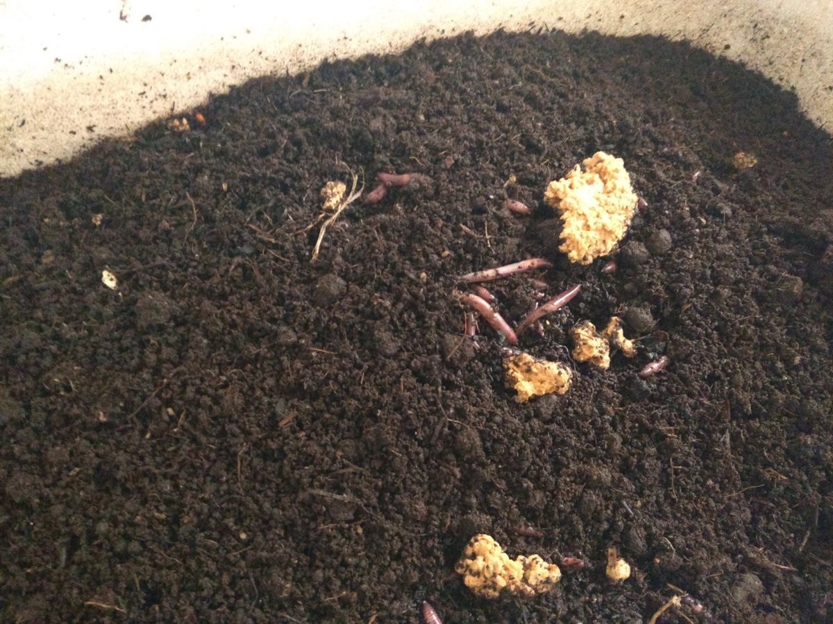 Keywater Fisheries tweet media