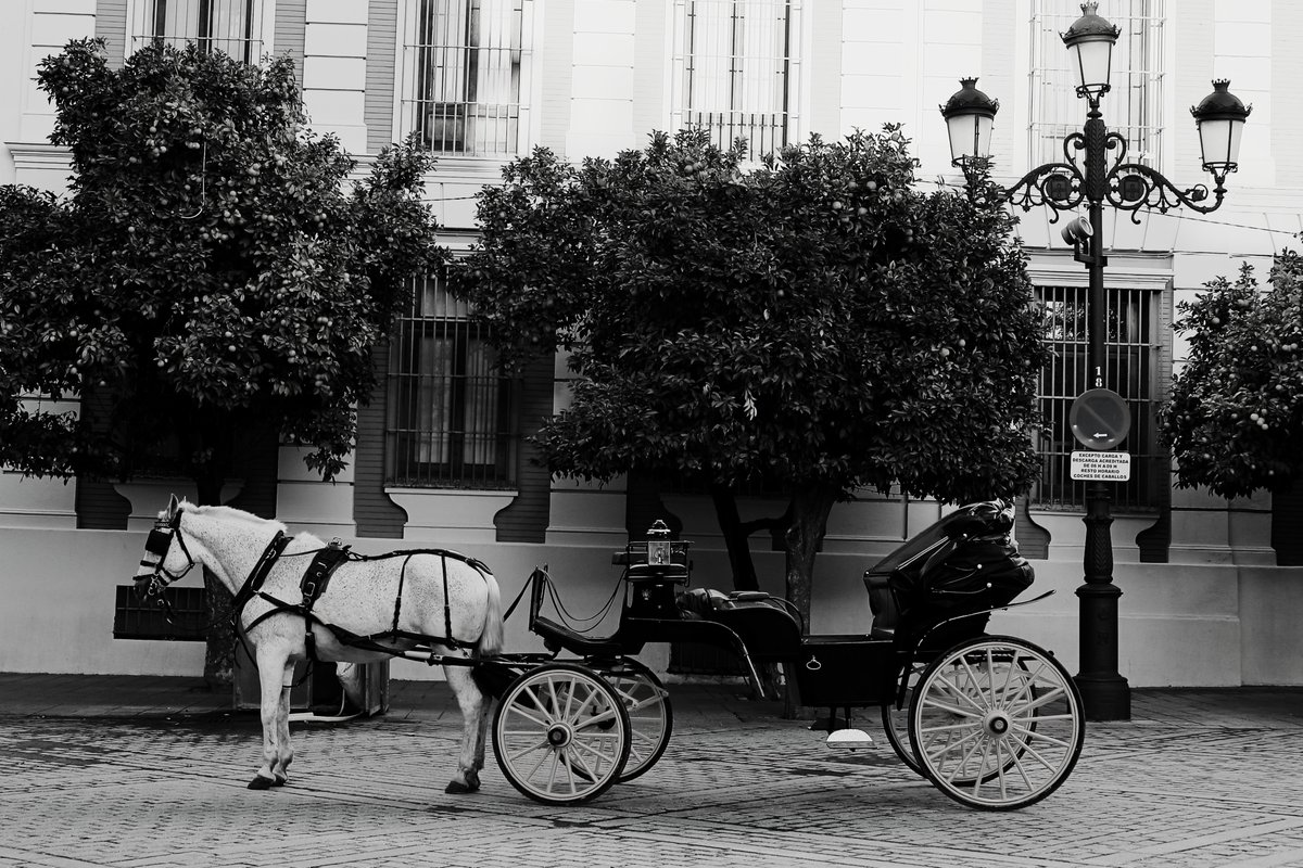 #Spain #Seville #Andalucia #streetphotography #urbanphotography #canon #canonphotography #travel