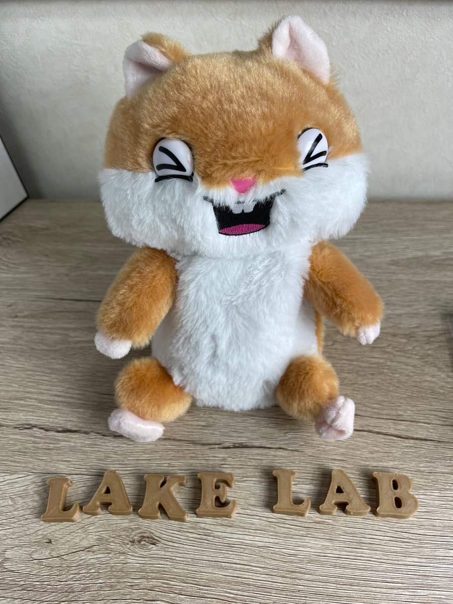lakelab_jp's tweet photo. 3Dプリンターで作ったロゴが出来上がりました！
思ってたよりも小さかったので、厚みを増してもっと大きく作りなおしたいと思います。
#LAKELAB #みんなワロタ #ゲラハム https://t.co/CDGLv5M78B