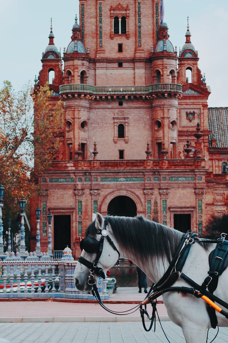 Plaza de Espana

#Spain #Seville #Andalucia #streetphotography #urbanphotography #canon #canonphotography #travel
