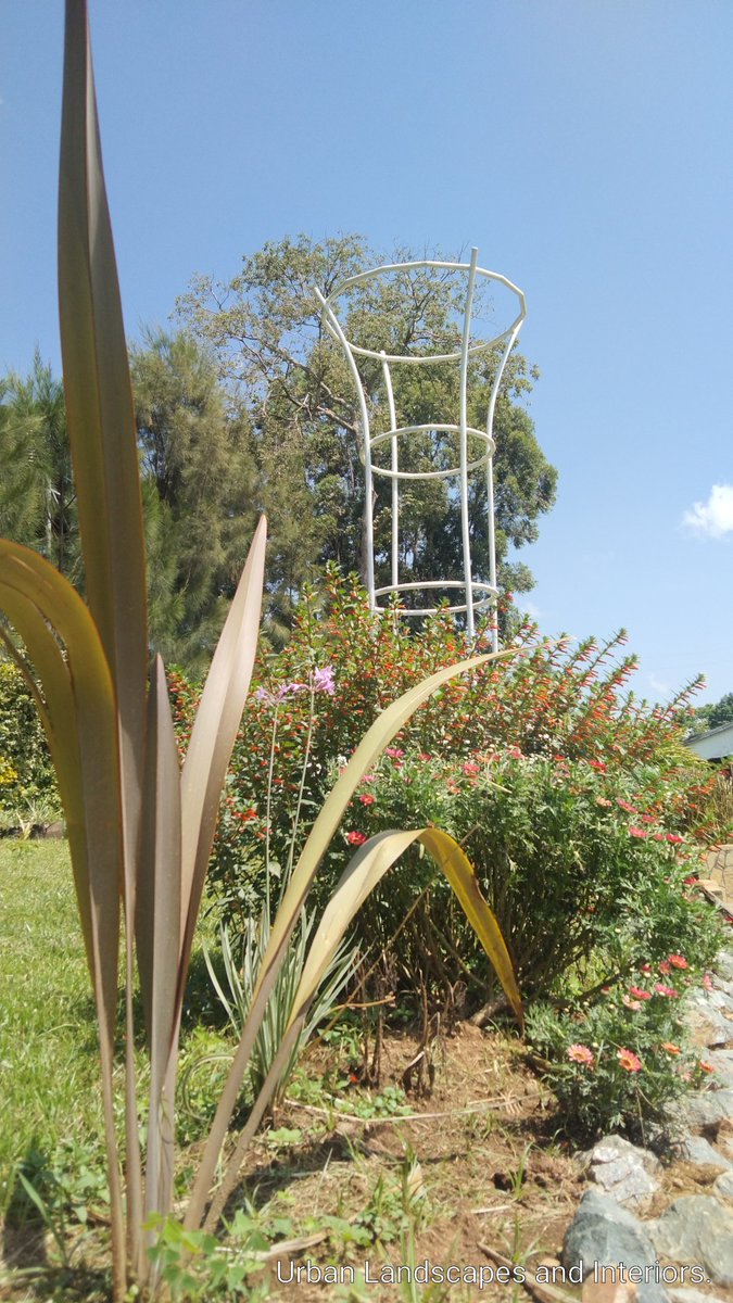 KeLandscapes's tweet photo. Beauty at the garden... https://t.co/QyN4NAfdT3