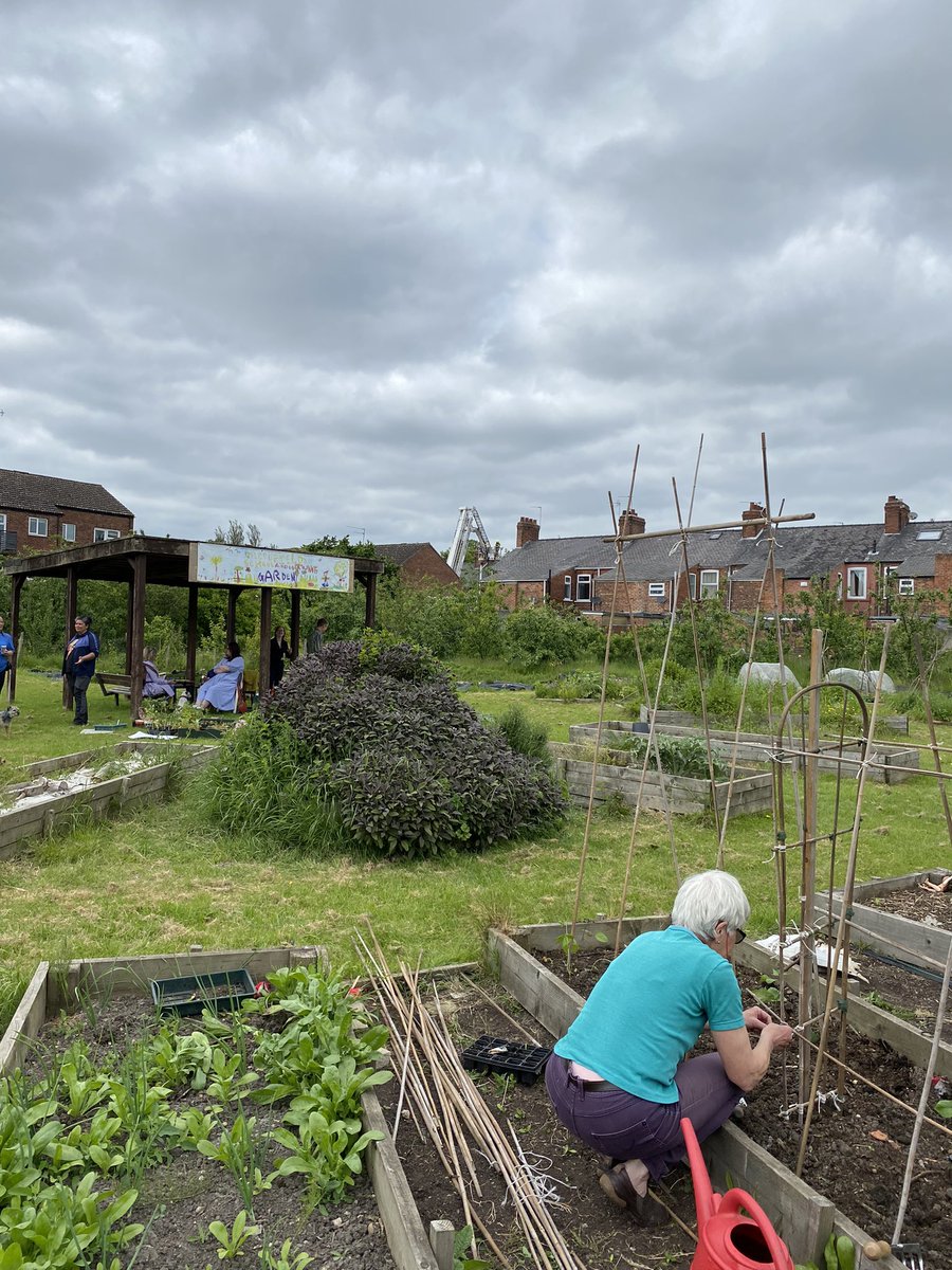 In the garden today, 2-4pm. Come join us!