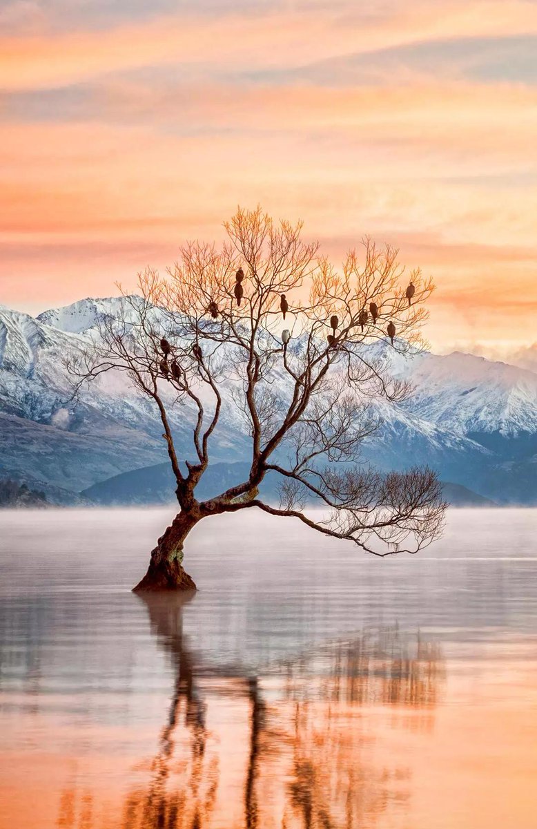 farysketchess's tweet photo. Nature's paradise
https://t.co/qO8d36kQ0v

#ArtificialIntelligence #nftcollector #NFTGiveaways #Ethereum #OpenSeaNFT #SolanaNFTs #nftart #NFT #sewing #cryptocurrecy #SOL #EthereumNFTs #Solana #Bitcoin📷📷📷 https://t.co/OuYQlCGJkU