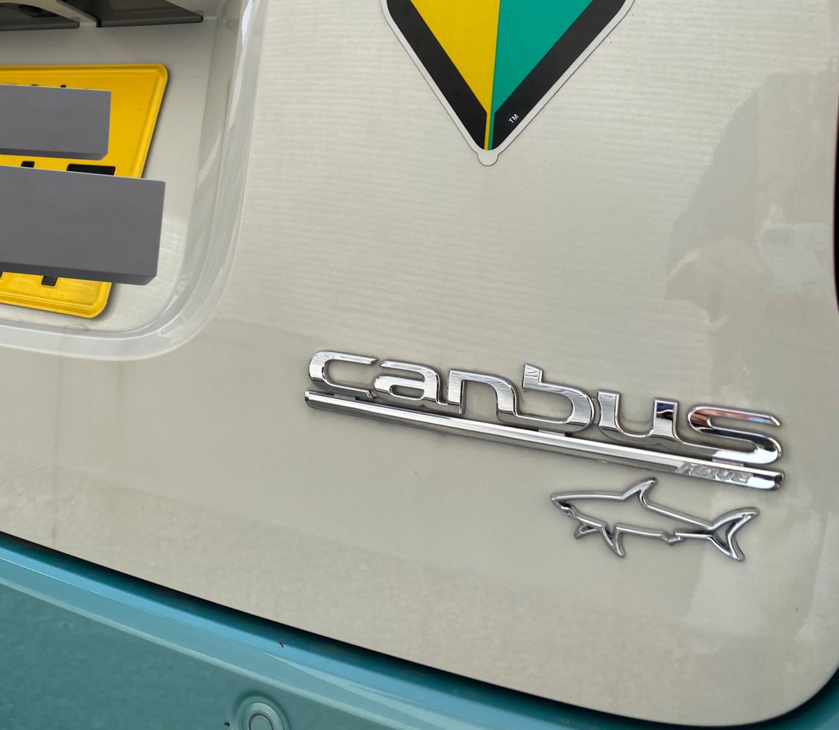 10Ymk's tweet image. 車もサメ仕様に🚘🦈

娘もすっかりサメと仲良しです🥰

#ikeashark
#IKEAのサメ
#サメ🦈