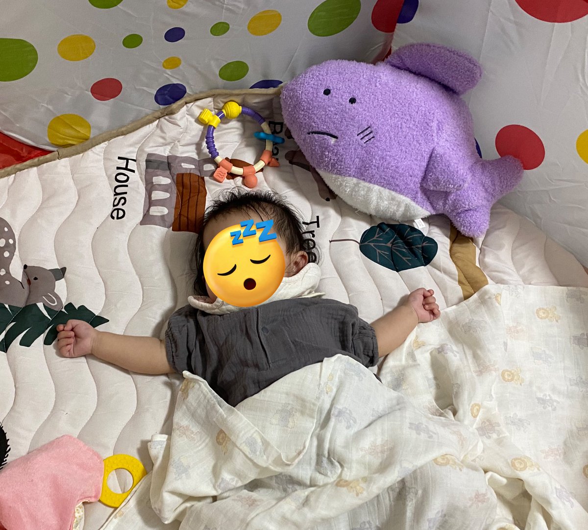 10Ymk's tweet image. 車もサメ仕様に🚘🦈

娘もすっかりサメと仲良しです🥰

#ikeashark
#IKEAのサメ
#サメ🦈