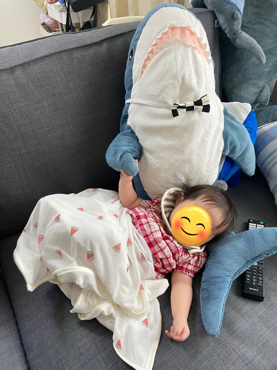 10Ymk's tweet image. 車もサメ仕様に🚘🦈

娘もすっかりサメと仲良しです🥰

#ikeashark
#IKEAのサメ
#サメ🦈