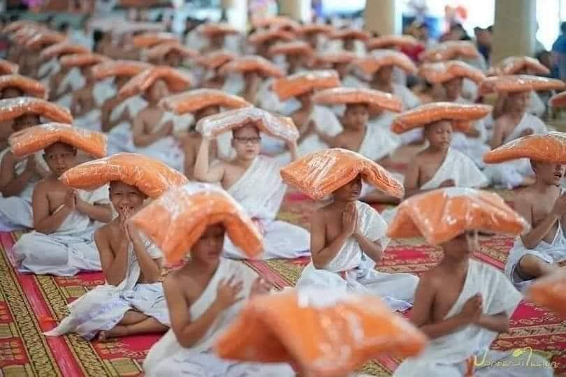 แว้บแรกคือเห็นเป็นแซลม่อน