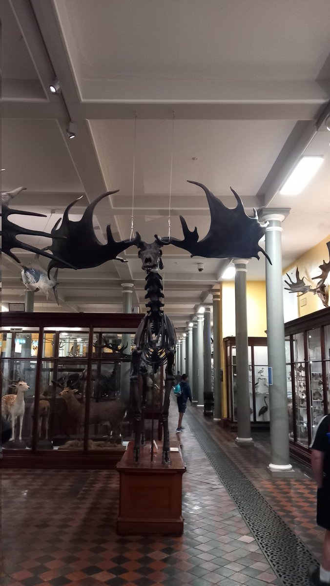 Ériu Community College Dublin 15 (@eriu_cc) on Twitter photo During our Summer School we visited the Natural History Museum - the Dead Zoo <a href="/DublinDeadZoo/">Dublin's Dead Zoo</a>. Students were mesmerised by everything they saw...I imagine thee photos from this visit will feature heavily in the photography competition! #Summerschool2023 #teamddletb During our Summer School we visited the Natural History Museum - the Dead Zoo <a href="/DublinDeadZoo/">Dublin's Dead Zoo</a>. Students were mesmerised by everything they saw...I imagine thee photos from this visit will feature heavily in the photography competition! #Summerschool2023 #teamddletb
