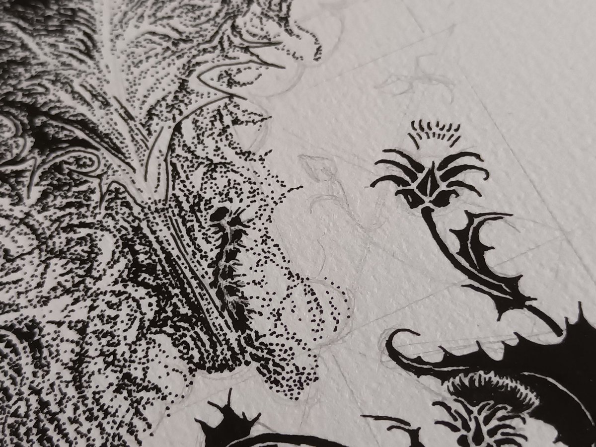 Ornitha_art's tweet photo. 🐛 https://t.co/JKkiJOf17n