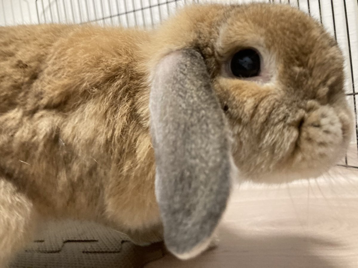 （・×・）
暑いけど元気に過ごしています