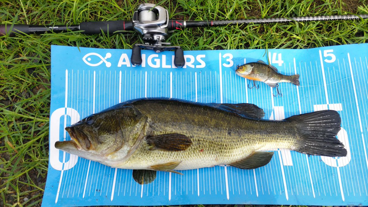 KAZUO-T®(カズオ) tweet media