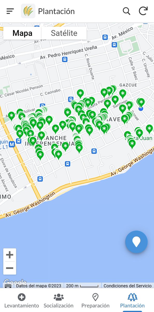 MarioSosaTorres's tweet photo. ¡La jornada de plantación de Gascue sur fue todo un éxito! Plantamos cerca de 300 árboles que unos años brindarán 15,000mts² de sombra para nuestra ciudad.

Gracias a todas y todos los voluntarios, vecinos, instituciones y empresas que hicieron esto posible. https://t.co/JxsjiEPZqU