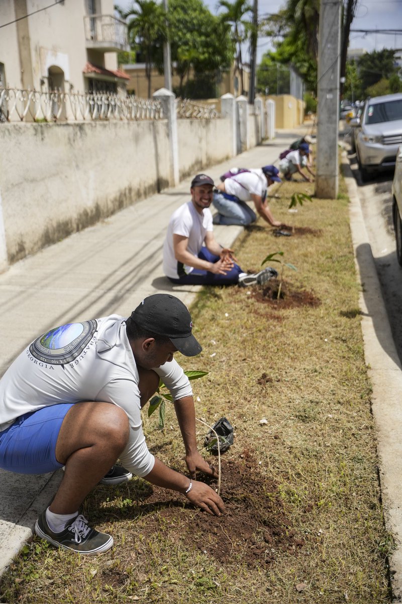 MarioSosaTorres's tweet photo. ¡La jornada de plantación de Gascue sur fue todo un éxito! Plantamos cerca de 300 árboles que unos años brindarán 15,000mts² de sombra para nuestra ciudad.

Gracias a todas y todos los voluntarios, vecinos, instituciones y empresas que hicieron esto posible. https://t.co/JxsjiEPZqU