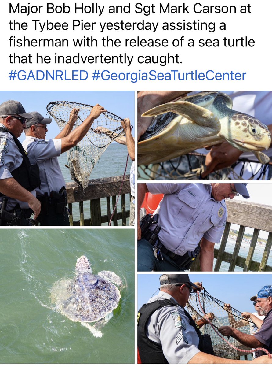 LE Division - GA DNR (@gadnrle) on Twitter photo 