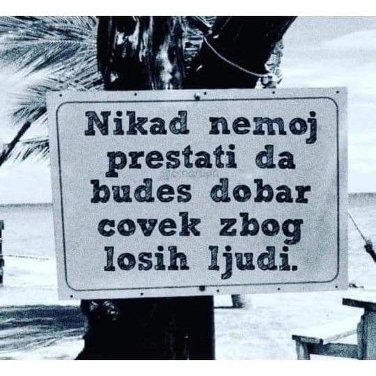 Aleksandra Turković (@aleksandraturk4) on Twitter photo 