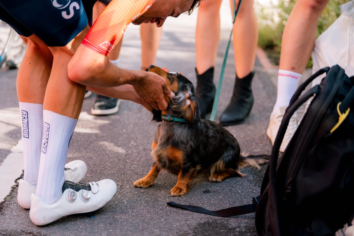 NetcompanyINEOS's tweet photo. Stage two ☑️

📸 @alexduffill | #TDF2023 https://t.co/K5DpokliC5