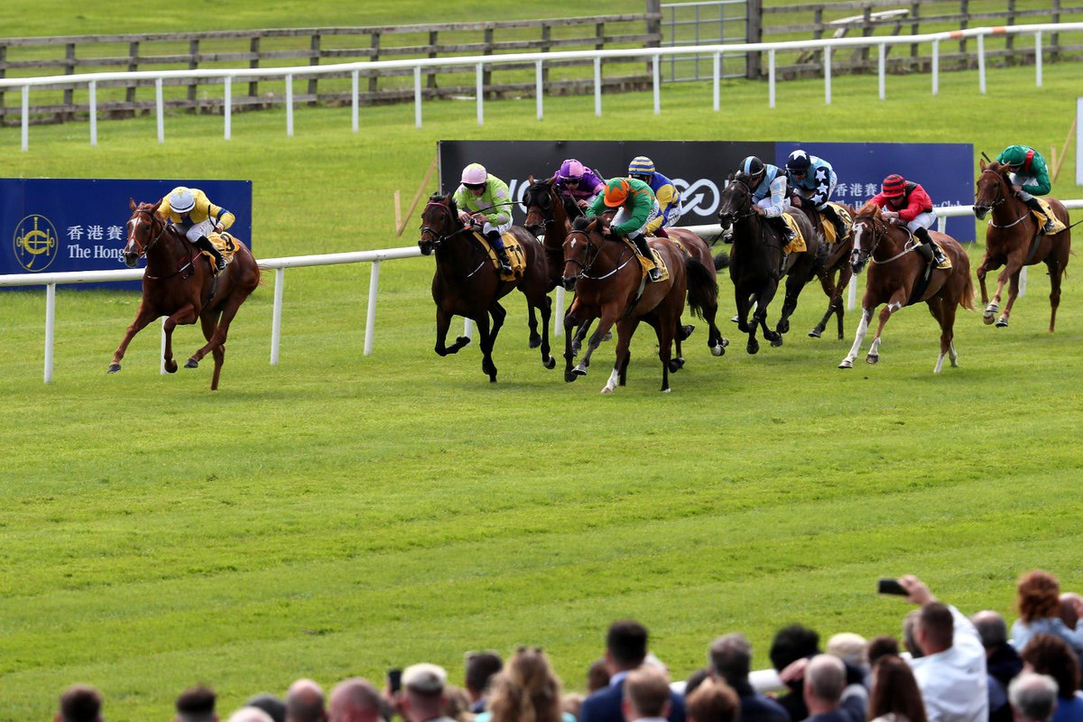 curraghrace's tweet image. Aussie Girl takes @DubaiDutyFree Summer Fillies Handicap for trainer @fozzystack  and jockey Jamie Powell 🤩🏆✨