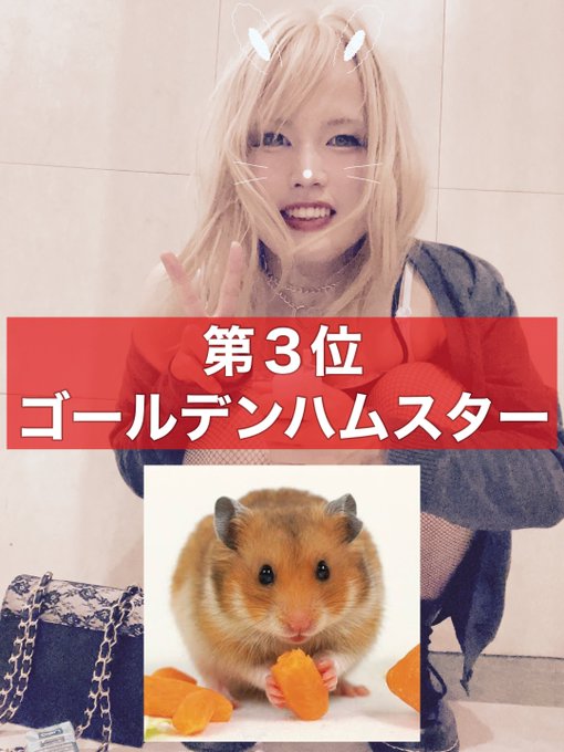 ドラフト落ち供養 https://t.co/mpClFlxmtV