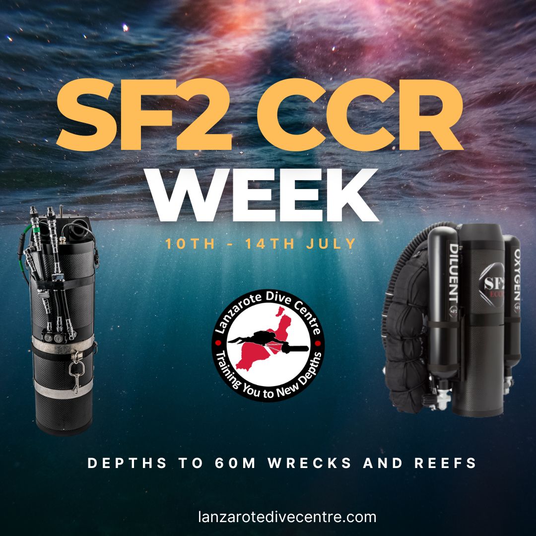 LanzaroteDiveCentre tweet media