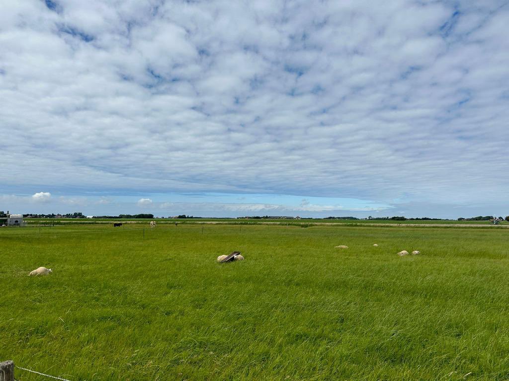 arjenuijterlind's tweet photo. The beauty of the #Netherlands๐ณ๐ฑ. Landscapes with flat & low lands under blue cloudy skies, and the North Sea of course. Sunday morning on #Texel. ๐ค๏ธ๐ฒ๐งก https://t.co/nkxEFHY3ox