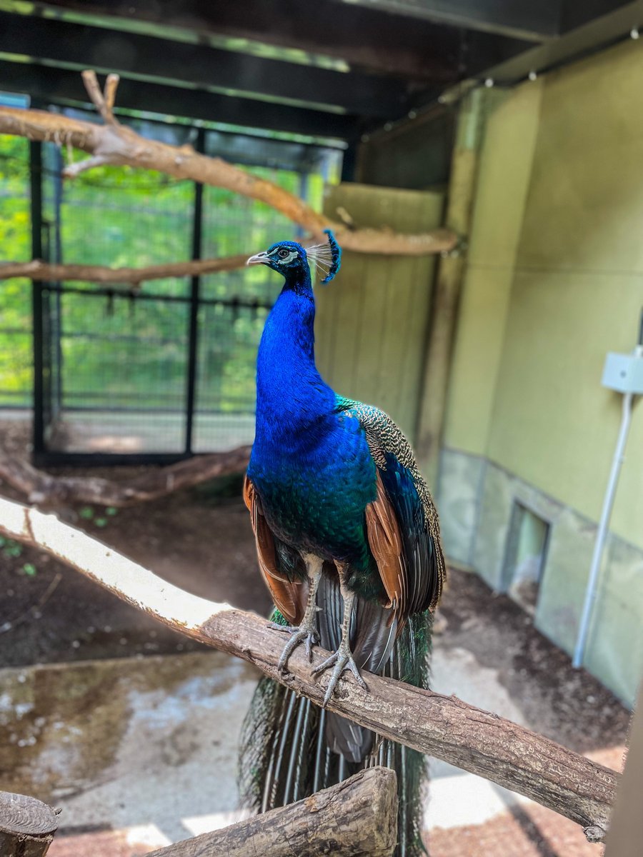 Aging Death ☠️ tweet media