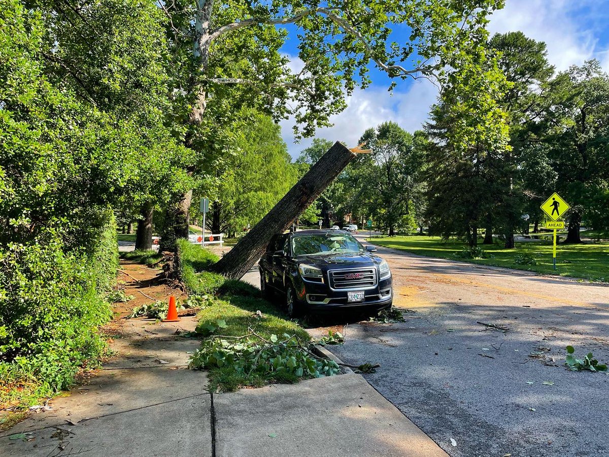 Emily Wasserman tweet media