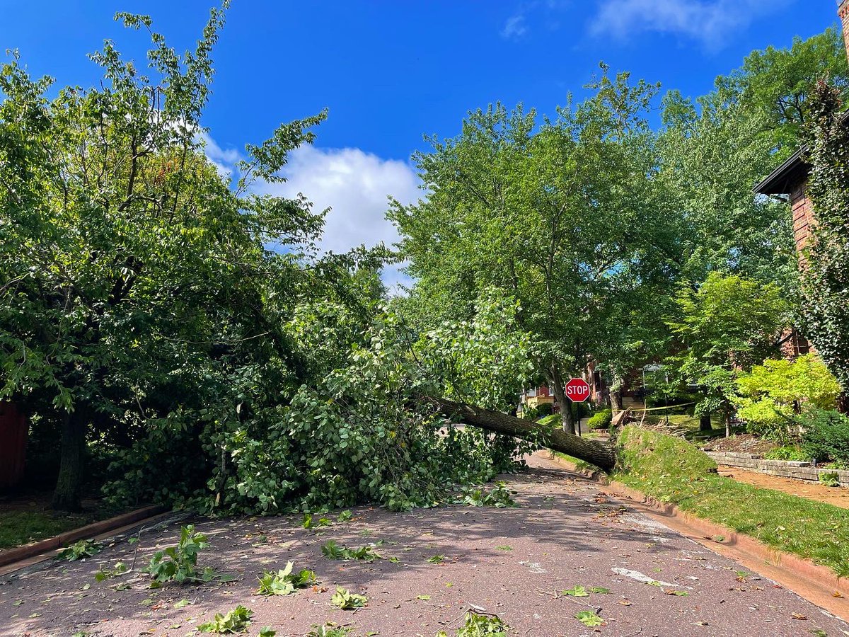 Emily Wasserman tweet media