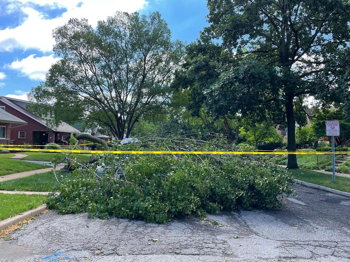 Emily Wasserman tweet media