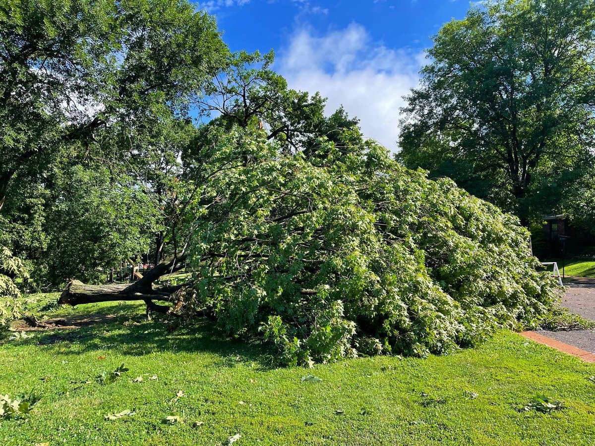 Emily Wasserman tweet media