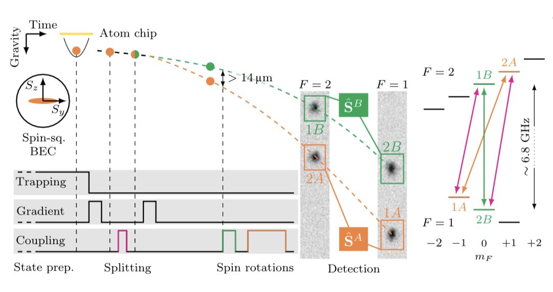 emulenews's tweet photo. #PhysRevX Einstein-Podolsky-Rosen Experiment with Two Bose-Einstein Condensates https://t.co/8AVeuEHimG EPR with 2 spatially separated BECs, each containing about 700 rubidium-87 atoms, with entanglement between their collective spins. An important resource for quantum metrology. https://t.co/cMbDvzdJjc