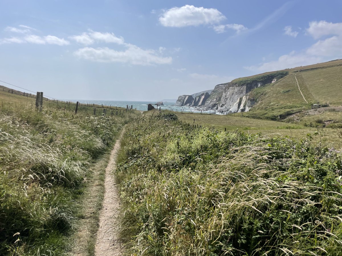 ShaunKiddell's tweet photo. Saturday strolls on the South West Coastal Path. Superb meadows! #DevonHeaven #helpingnaturethrive https://t.co/gQGzribt1n