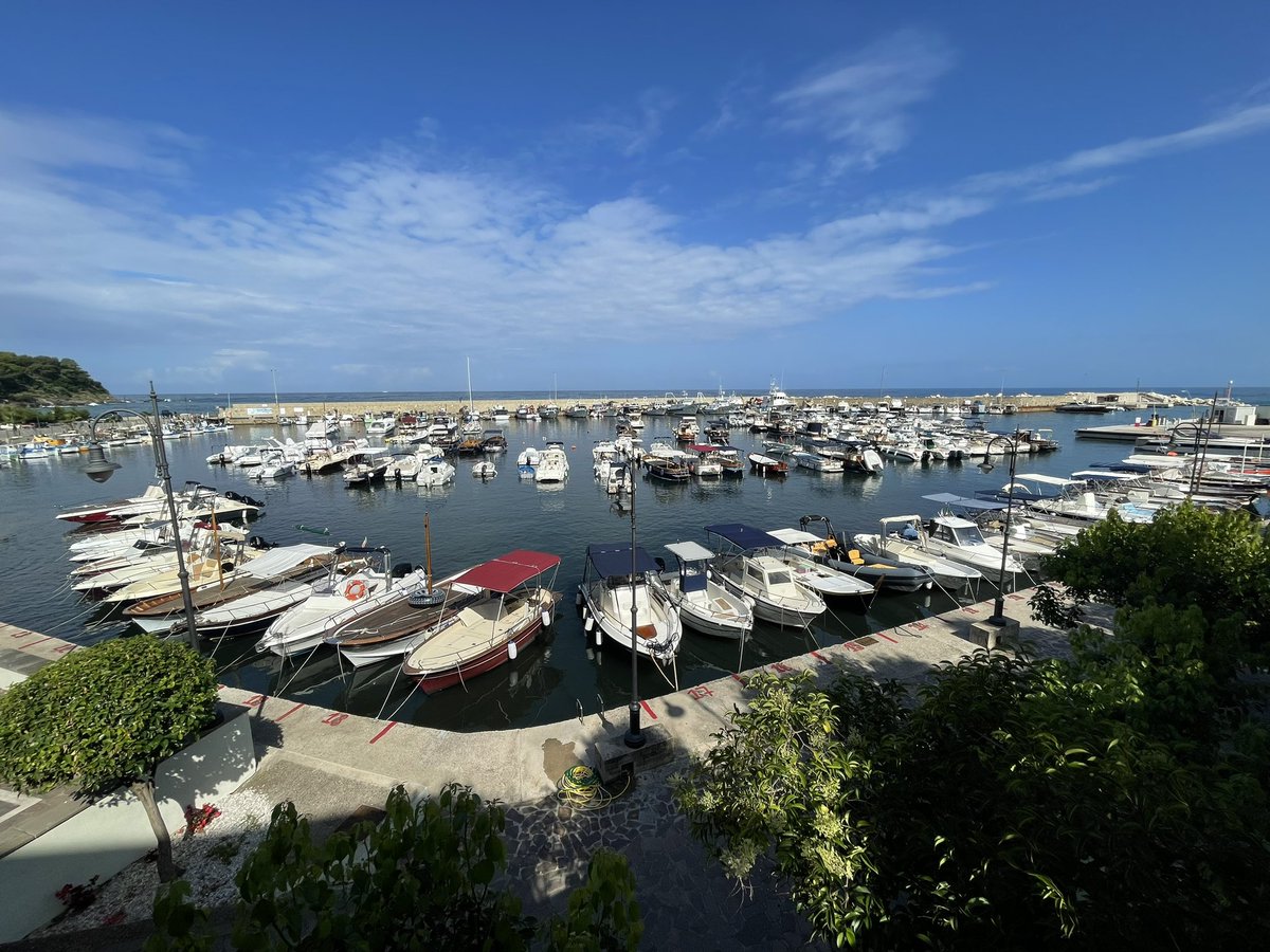 Armando De Crinito tweet media